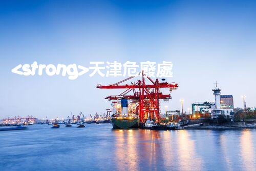 <strong>天津危廢處理企業(yè)電話危險(xiǎn)廢棄物處理的專業(yè)之道？</strong>